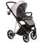 Детская коляска Roan Sol Flowers 3 в 1 с автокреслом Tutis Elo Lux EduSky Black RSF/5001 Powder/Rose gold
