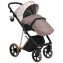 Детская коляска Roan Sol Flowers 3 в 1 с автокреслом Tutis Elo Lux EduSky Black RSF/5001 Powder/Rose gold