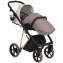Детская коляска Roan Sol Flowers 3 в 1 с автокреслом Tutis Elo Lux EduSky Black RSF/5001 Powder/Rose gold
