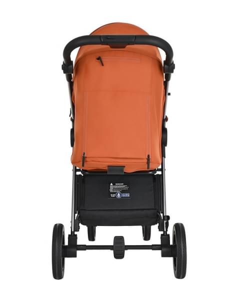 Детская прогулочная коляска Pituso Ruta PU BD206 Orange