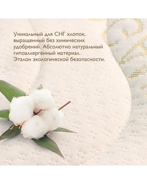 Детский матрас Plitex Organic Spring ОРГ-14/1 120х60х12 см
