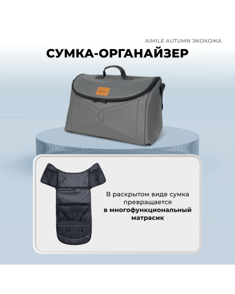 Коляска-трансформер Farfello Aimile Original Autumn AA-2