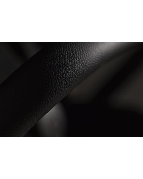 Коляска 2 в 1 Anex Flo, Solo (fl-01)