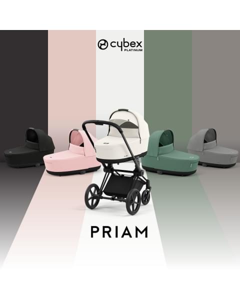 Коляска 2 в 1 Cybex Priam IV Platinum Collection шасси Matt Black, Leaf Green (Зеленый)