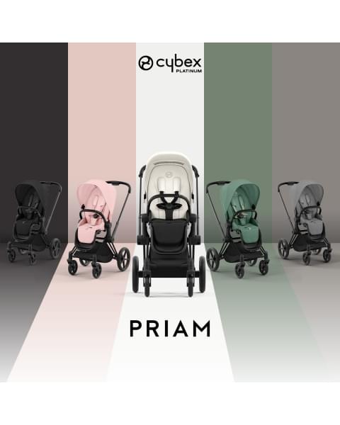 Коляска 2 в 1 Cybex Priam IV Platinum Collection шасси Matt Black, Leaf Green (Зеленый)