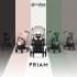 Коляска 2 в 1 Cybex Priam IV Platinum Collection шасси Matt Black, Leaf Green (Зеленый)