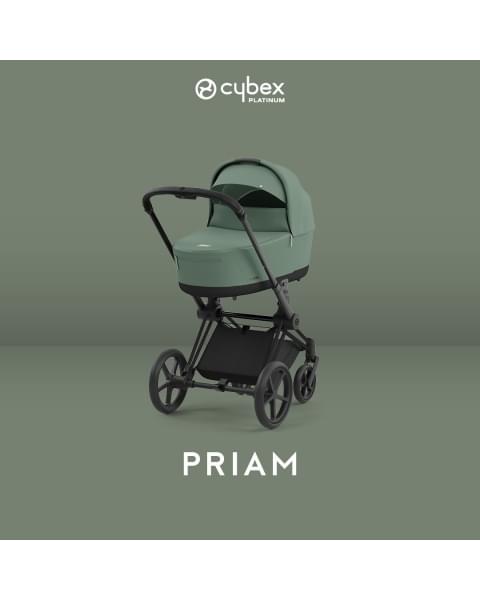 Коляска 2 в 1 Cybex Priam IV Platinum Collection шасси Matt Black, Leaf Green (Зеленый)