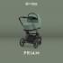 Коляска 2 в 1 Cybex Priam IV Platinum Collection шасси Matt Black, Leaf Green (Зеленый)