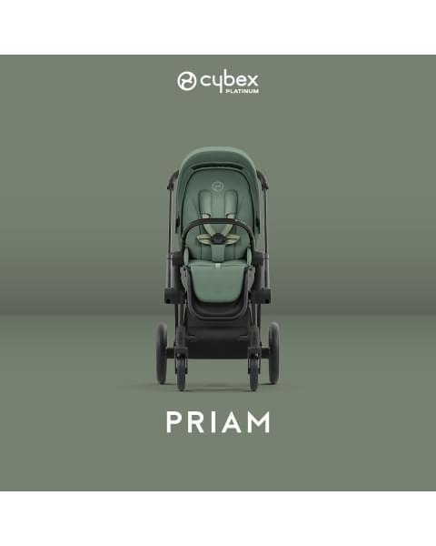 Коляска 2 в 1 Cybex Priam IV Platinum Collection шасси Matt Black, Leaf Green (Зеленый)