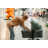 Коляска 2 в 1 Labala Raiz Basic Line 2023, Green (Зеленый)