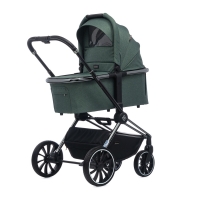 Коляска 2 в 1 Labala Raiz Basic Line 2023, Green (Зеленый)