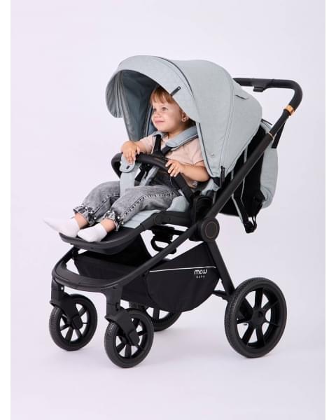Коляска 2 в 1 Mowbaby Zoom Light Green Tea