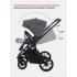 Коляска 2 в 1 Rant Basic Nexus Dark Shadow