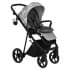 Коляска 2 в 1 Roan Sol Flowers, Gray / шасси Black (RSF/5002)