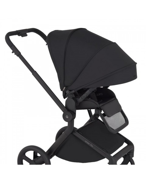 Детская коляска 2 в 1 Anex Flo (fl-05c) Lungo