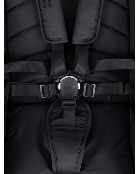 Коляска 2в1 Rant Falcon Therm Black