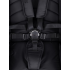 Коляска 2в1 Rant Falcon Therm Black