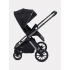 Коляска 2в1 Rant Falcon Therm Black