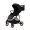 Коляска прогулочная Peppy Amici LX, Black / шасси Gold