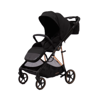 Коляска прогулочная Peppy Amici LX, Black / шасси Gold