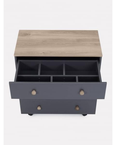 Комод пеленальный Rant Elsa Pro 800/4 с органайзером Moon grey