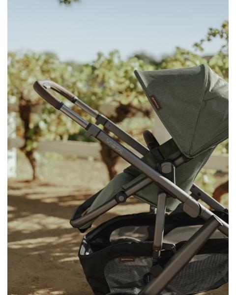 Коляска 2в1 UPPAbaby VISTA V3 Evelyn