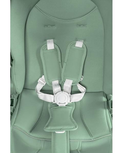 Детская прогулочная коляска Farfello Fest Lux Зеленый/Green FL-13 цветная рама