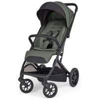 Прогулочная коляска Inglesina Maior New Taiga Green