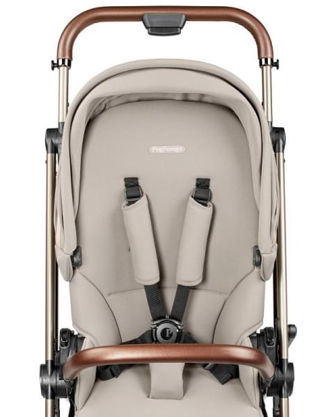 Прогулочная коляска Peg Perego Vivace New Astral