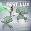 Детская прогулочная коляска Farfello Fest Lux Зеленый/Green FL-13 цветная рама