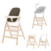 Стульчик для кормления Carrello Ergo CRL-16701 4 в 1 Pine Green