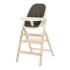Стульчик для кормления Carrello Ergo CRL-16701 4 в 1 Pine Green