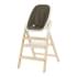 Стульчик для кормления Carrello Ergo CRL-16701 4 в 1 Pine Green