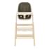 Стульчик для кормления Carrello Ergo CRL-16701 4 в 1 Pine Green