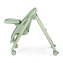 Стульчик для кормления Peg Perego Living Sage