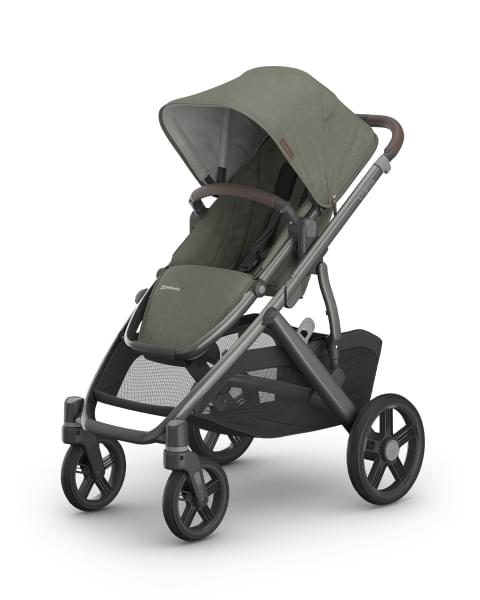 Коляска 2в1 UPPAbaby VISTA V3 Evelyn