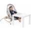 Детская кроватка-стульчик Chicco Baby Hug Armonia 4 в 1 Scandinavian