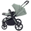 Детская коляска Rant Flex Therm Soft 4 в 1 с автокреслом Miro и базой Forest Green