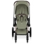 Коляска Cybex Priam V Rosegold Style Collection 2 в 1 Sage Green