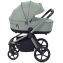 Детская коляска Rant Flex Therm Soft 4 в 1 с автокреслом Miro и базой Forest Green