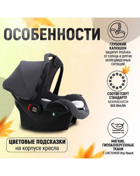 Автокресло Agex Simple (0-13 кг), Grey (Серый)