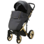Детская коляска Adamex Chantal Special Edition Deluxe 2 в 1 C113 (ЧЕРН.ПЕРЛ.КОЖА+ЗОЛОТО РАМА)