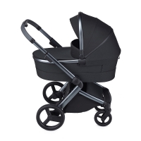 Детская коляска Anex l/type 2 в 1 lt-13t onyx