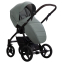 Детская коляска Bebetto Luca Pro 2 в 1 32 шалфей кожа