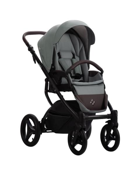 Детская коляска Bebetto Luca Pro 2 в 1 32 шалфей кожа