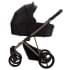 Детская коляска Bebetto Pelpasso Pro 2 в 1 03 черная кожа