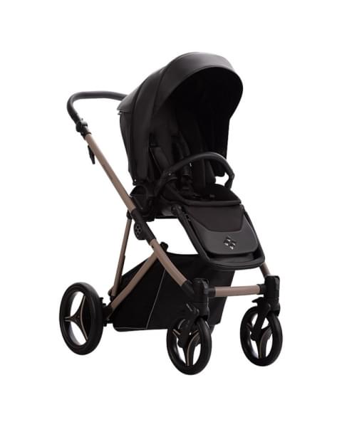 Детская коляска Bebetto Pelpasso Pro 2 в 1 03 черная кожа