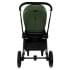Детская коляска Pituso Mayla Lux 2 в 1 Forest Green