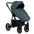 Детская коляска Pituso Tossa 2 в 1 TS/50/05 Sage