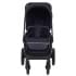 Детская коляска Rant Flex 3 в 1 RA077 Black